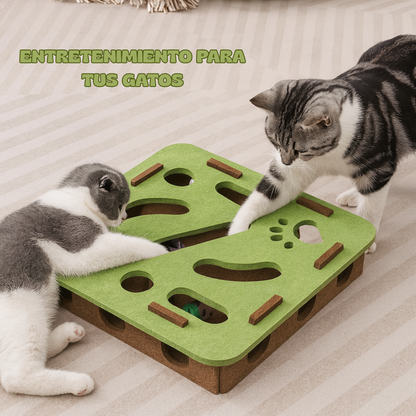 Juguete Rompecabezas para gatos.
